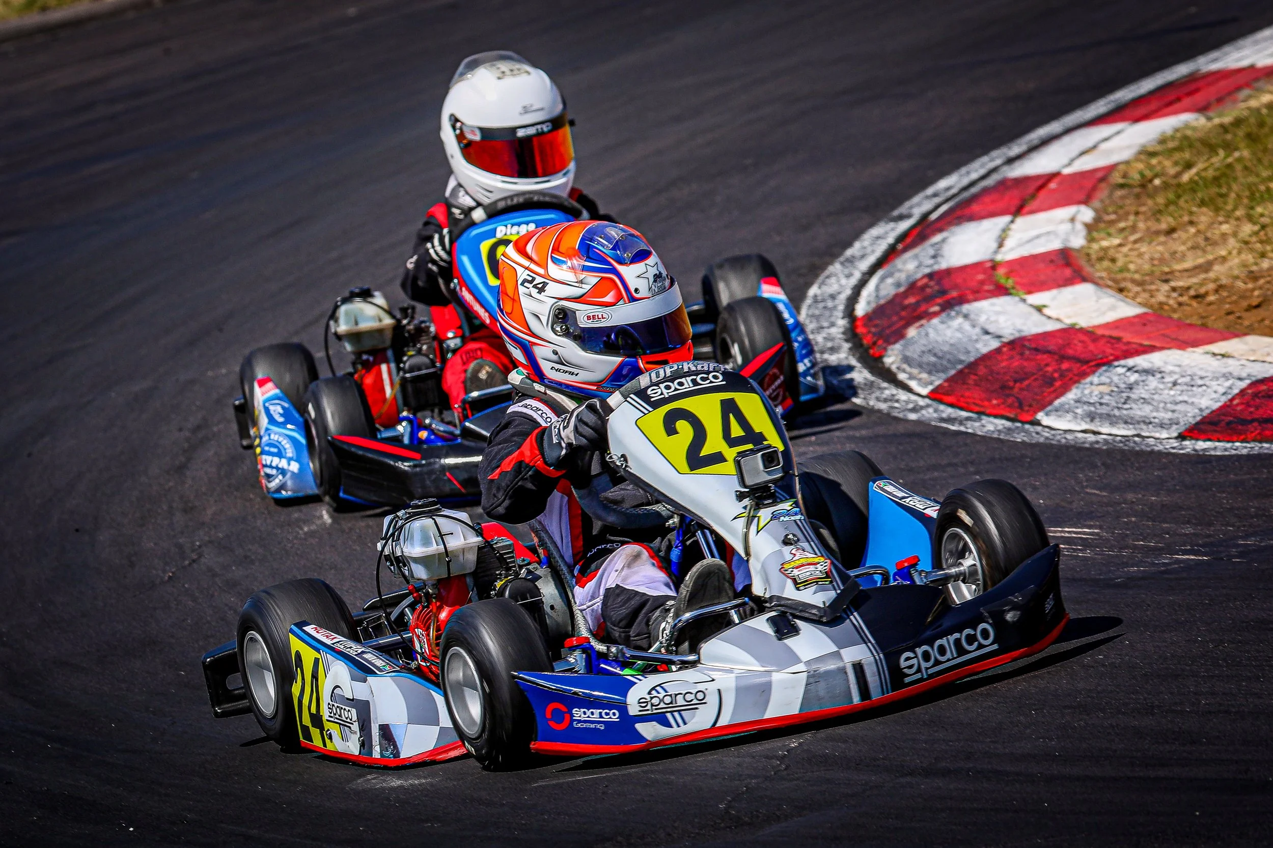 Champions bambino sales